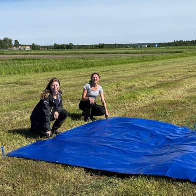Satellites and sensors give farmers a closer look at their forage crops
