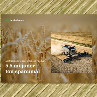 Lantmännens Skördeprognos Juli 2025