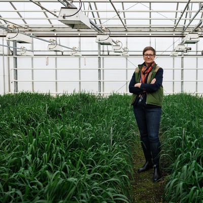 Desireé Börjesdotter