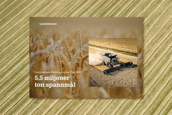 Lantmännens Skördeprognos Juli 2025