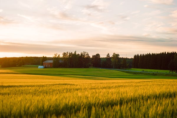 Field Finland