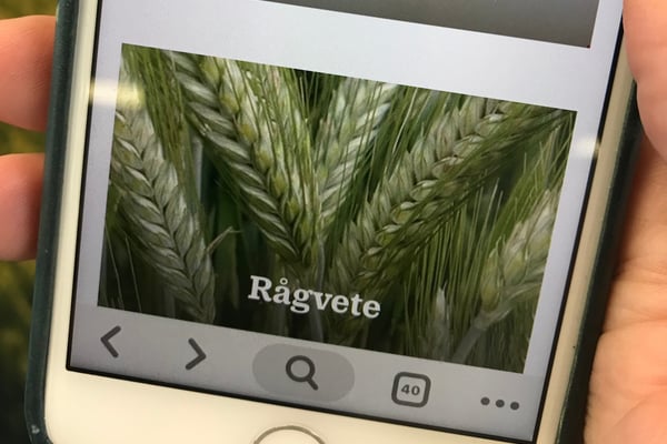 En mobiltelefon med interaktiva odla