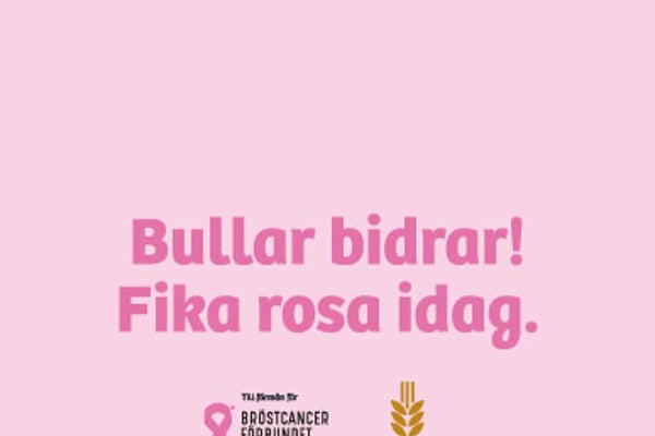 Bullar bidrar fika rosa