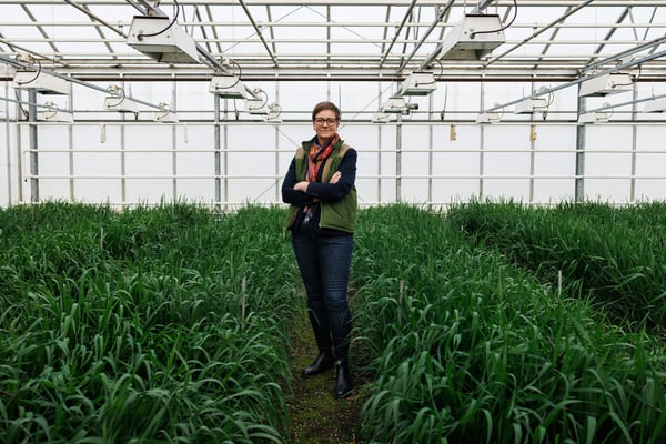 Desireé Börjesdotter