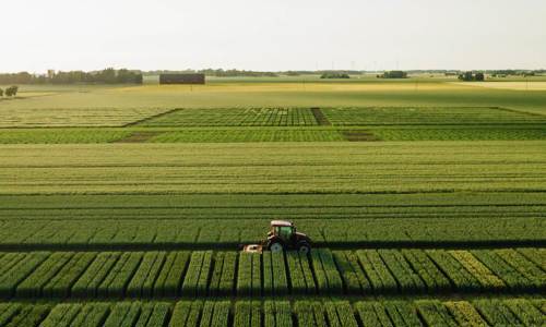 Bjertorp farm