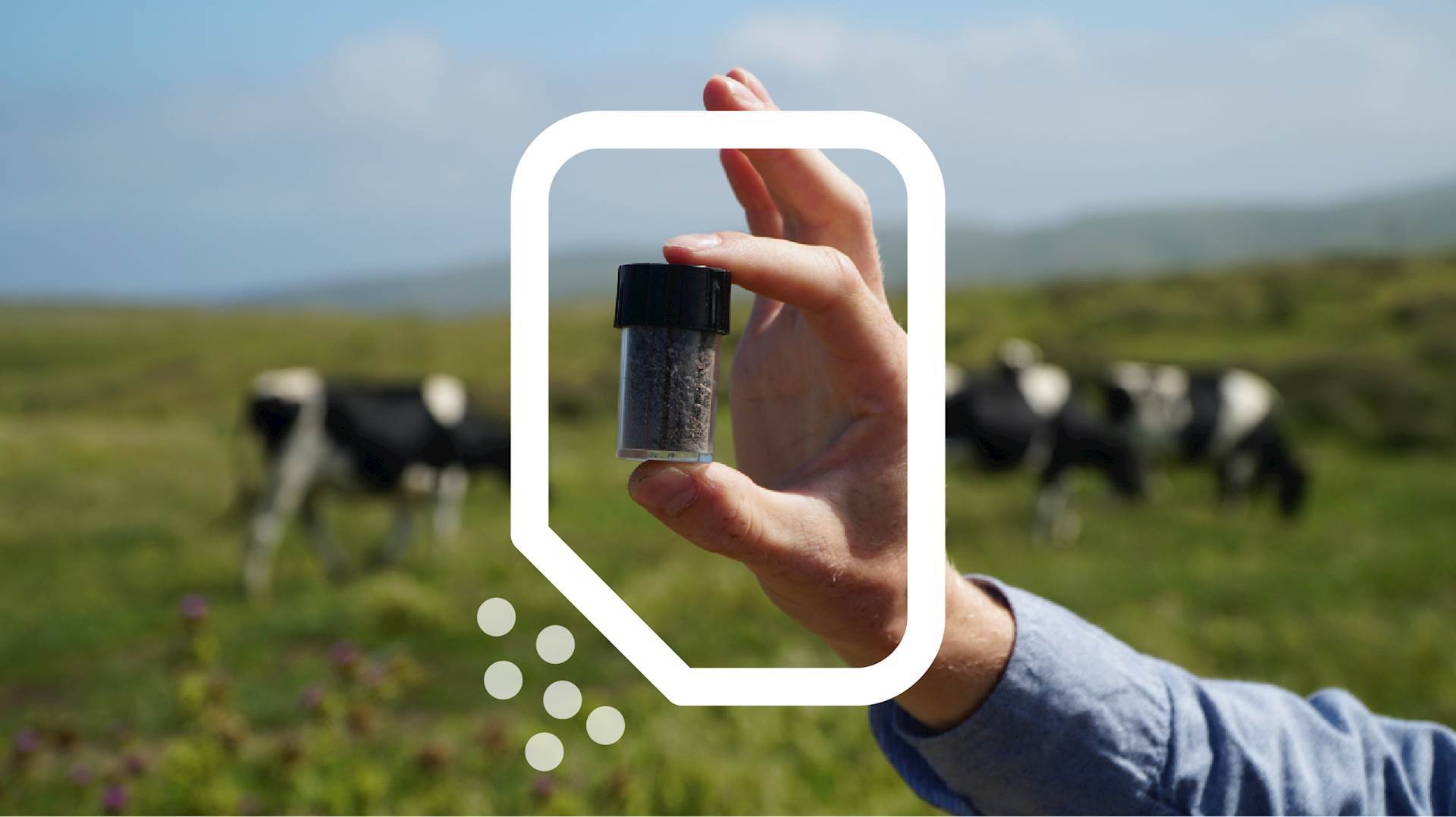 Algae in cattle feed cut CO2 emissions